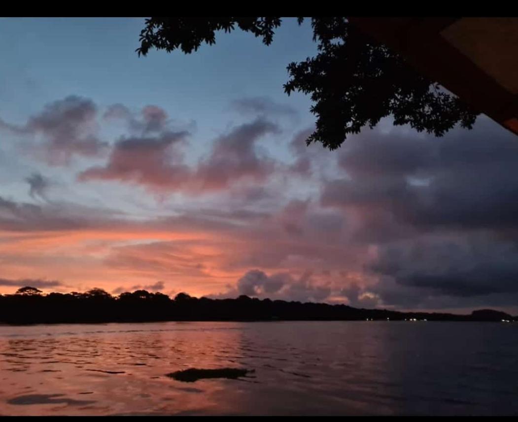Casa Marbella Tortuguero Exterior foto