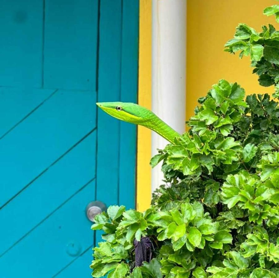 Casa Marbella Tortuguero Exterior foto