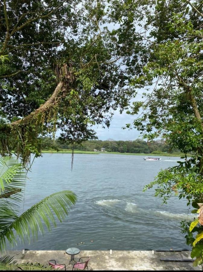 Casa Marbella Tortuguero Exterior foto